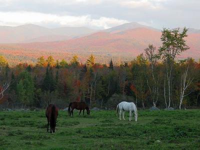 Sugar hill, NH, USA