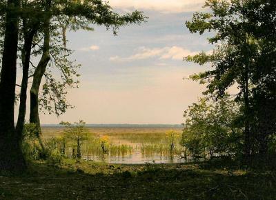 DSC_3018.jpg