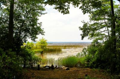 DSC_3040.jpg