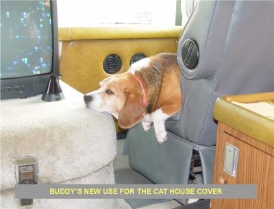 BUDDY AND THE CAT HOUSE COVER