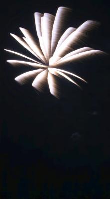 Fireworks_July 4, 2004_09