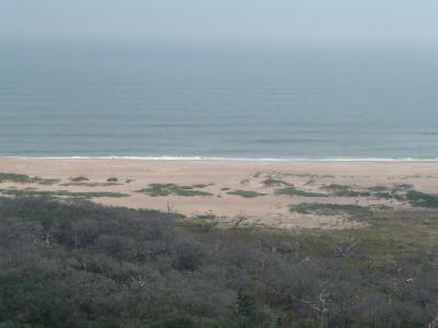 obx_13 - Cape Hatteras Light House - View From Top