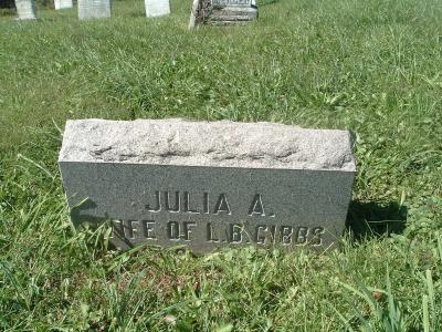 pg_31 - Julia A., Wife of L. B. Gibbs (Who is he?)