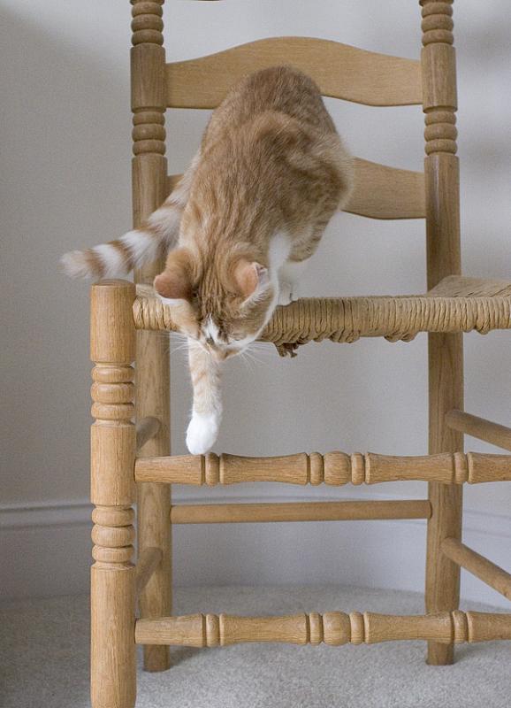 Im Outa Here!