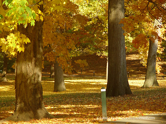 The New York Botanical Garden in Late October