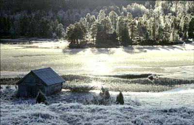 Vinter 2