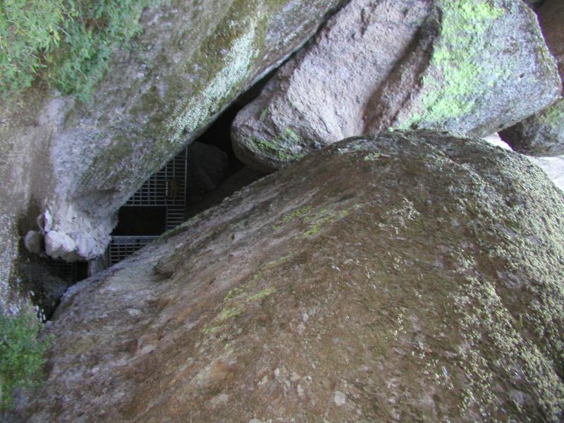 P1010285.JPG