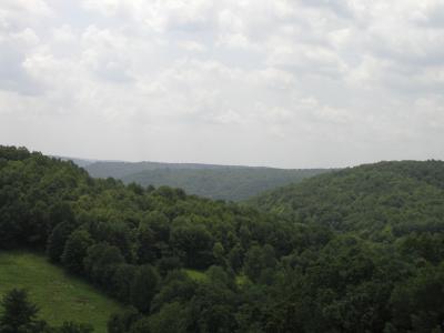 P1010033.JPG