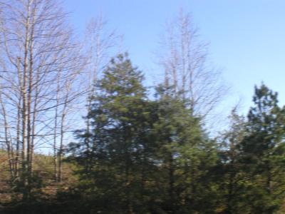 P1010044.JPG