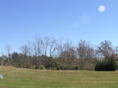 P1010046.JPG