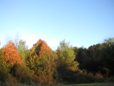 P1010069.JPG