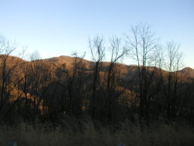 P1010072.JPG