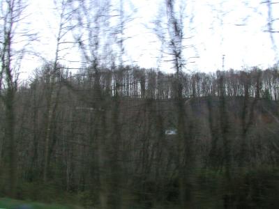 P1010082.JPG