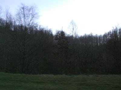 P1010083.JPG