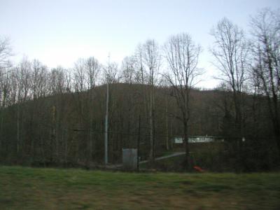 P1010084.JPG