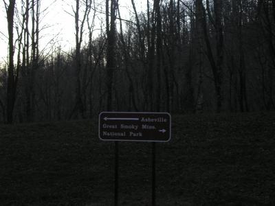 P1010093.JPG