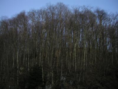 P1010097.JPG