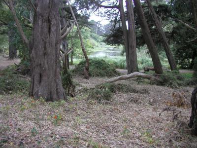 P1010091.JPG