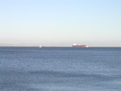 P1010109.JPG