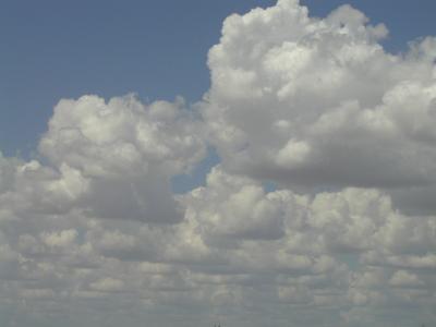 P1010152.JPG