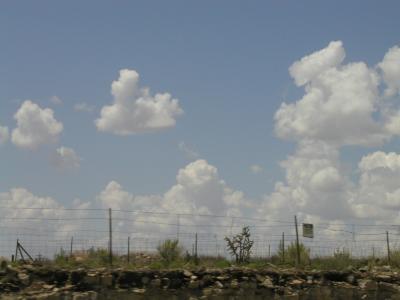 P1010153.JPG