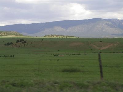 P1010160.JPG