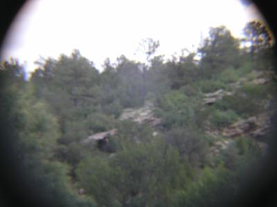 P1010163.JPG