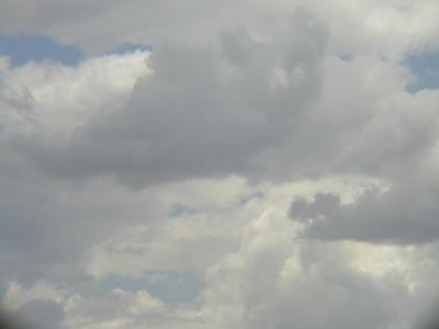 P1010169.JPG