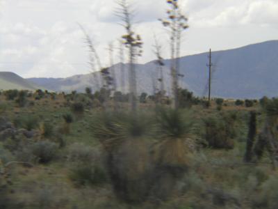 P1010170.JPG