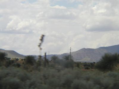 P1010171.JPG