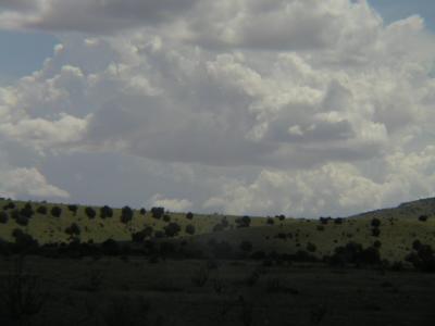 P1010195.JPG