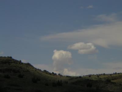 P1010197.JPG