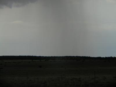P1010215.JPG