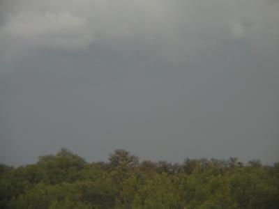 P1010217.JPG