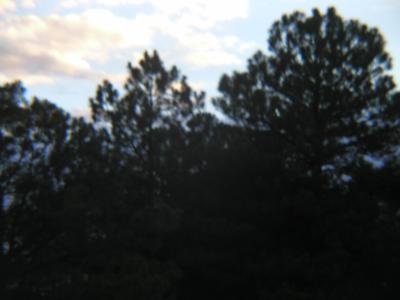 P1010229.JPG