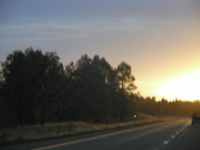 P1010232.JPG