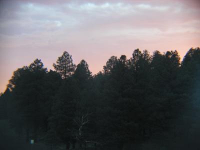 P1010233.JPG