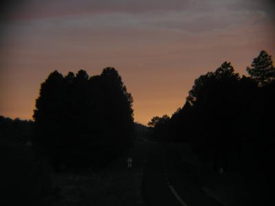 P1010234.JPG