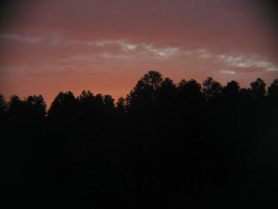 P1010235.JPG