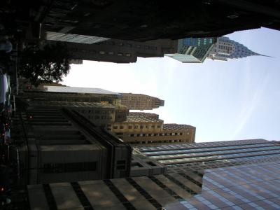 P1010088.JPG
