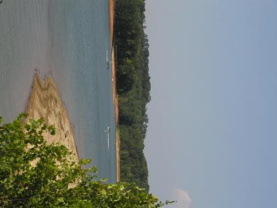 P1010115.JPG