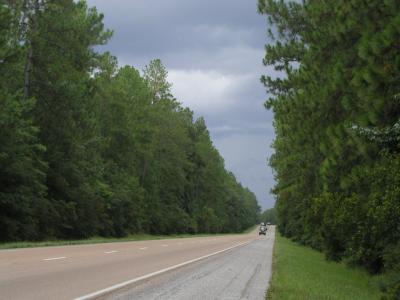P1010129.JPG