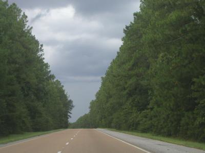 P1010130.JPG