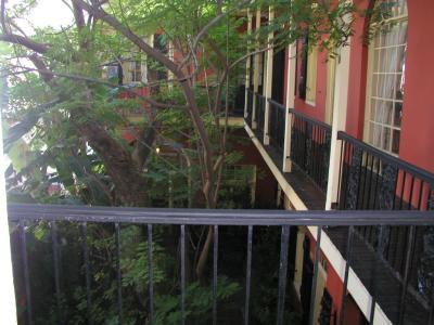 P1010142.JPG