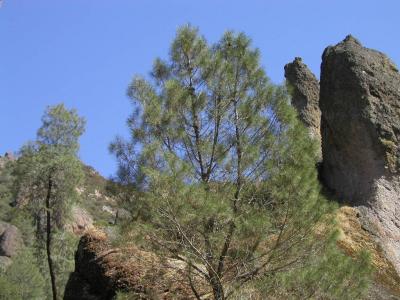P1010272.JPG