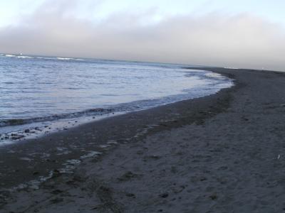 P1010024.JPG