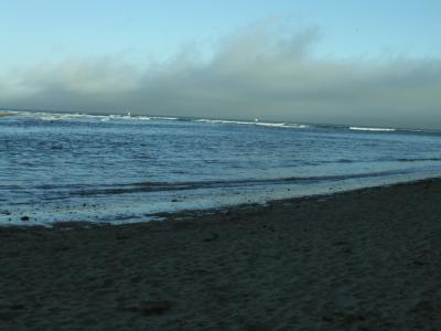 P1010028.JPG