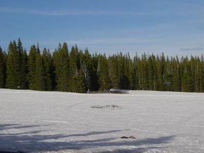 DSC01792.JPG