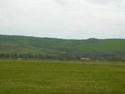 DSC01820.JPG