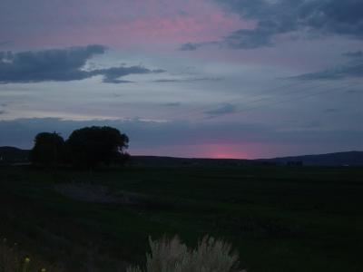 DSC01826.JPG